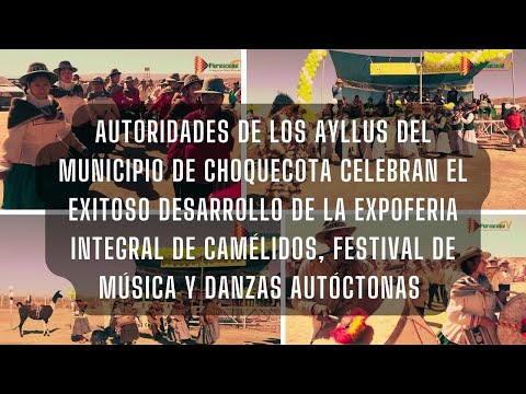 Expoferia Integral de Camélidos, Festival de Música y Danzas autóctonas del municipio de Choquecota