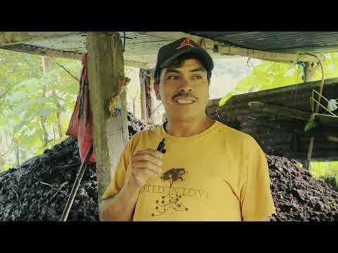 Documental Caserío Piedra Redonda, Tajumulco San Marcos.
