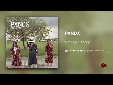 Consejo Al Espejo - Panda (PXNDX)