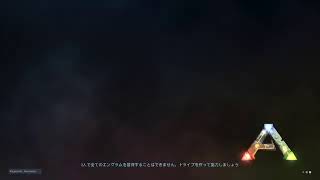 日常の適当な配信