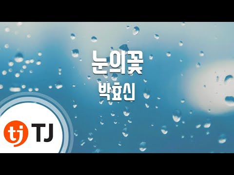 Snow Flower 눈의꽃(미안하다사랑한다OST)_Park Hyo Sin 박효신_TJ노래방 (Karaoke/lyrics/romanization/KOREAN)