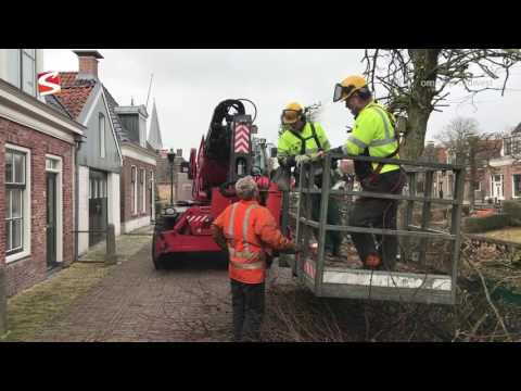 Groene Vingers afl 19 IJlst Linden snoei