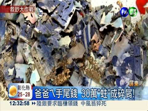 千元鈔被蛀.火燒 鑑定"拼湊"搶救!