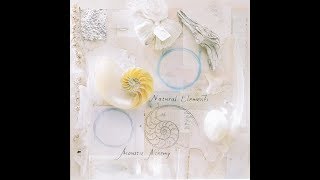 Acoustic Alchemy●Overnight Sleeper●1988