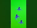 Green Screen Video Octopus Part 3 Green Screen Effects Octopus Swimming Cartoon Shorts