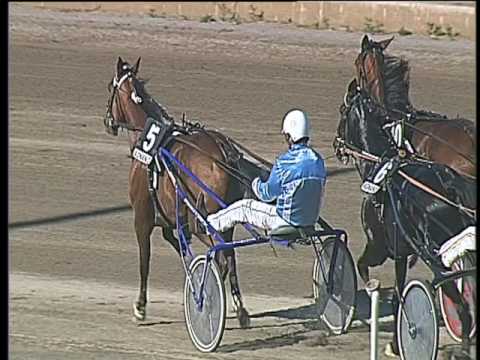 Trotto 23/04/2017 - 5ª corsa