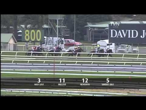 2011 All Aged Stakes- Hay List