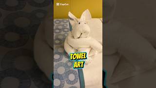 Towel Art #cruise #cruisetour #travelvlog #travel #splendor #carnival #carnivalcruise
