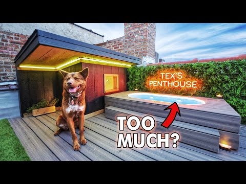 I Built a Luxury Doghouse with a POOL