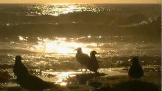 The Durutti Column "Sketch For Summer"