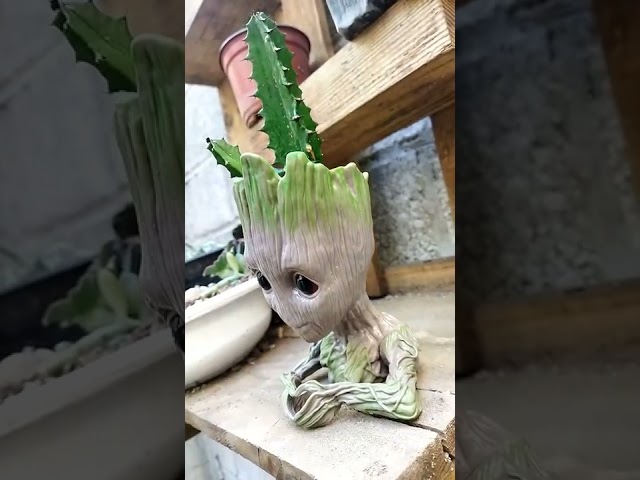 Vídeo relacionado con HBSFBH Baby Groot Maceta, Pen Pot y Macetas, Gente del Árbol, Figura de acción para Plantas y bolígrafos de la película clásica, para Deco del Acuario/Decoración de Escritorio/Perfecto como Regalo