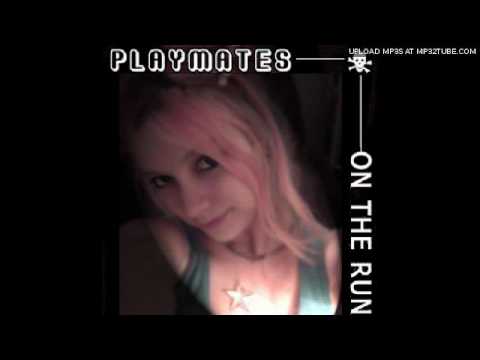 The Playmates On The Run - Bird Song Writer
