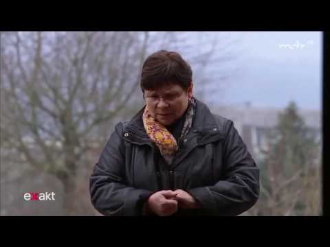 Sozialbestattungen   kein Geld für die Beerdigung