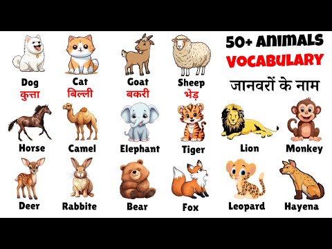 English Vocabulary || Animals Name || Animals Vocabulary || 50 animals name || #alokiq