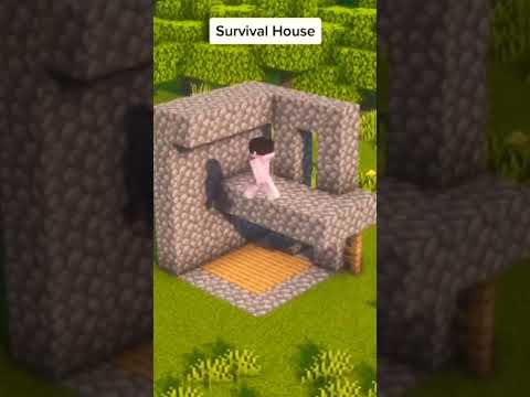 EPIC Minecraft Dream: Insane Survival House!