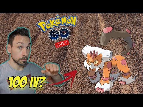 CERCO LANDORUS 100 IV IN LIVE! RAID DA BRABRA
