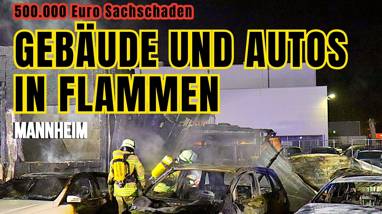 Brand bei Autohandel in Mannheim – Gebäude und zwölf Fahrzeuge zerstört
