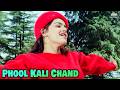Phool Kali Chand Krantiveer 1994 Atul Agnihotri Mamta Kulkarni Udit Narayan Sadhana Sargam
