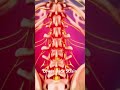 Lower Back Strain
