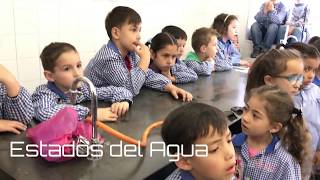 Los estados del agua (Ed.Infantil)