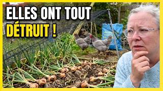 DÉSASTRE AU POTAGER : Mes Poules ont TOUT détruit ! 🐔 (Vlog & Sécheresse) #maman #potager #vlog