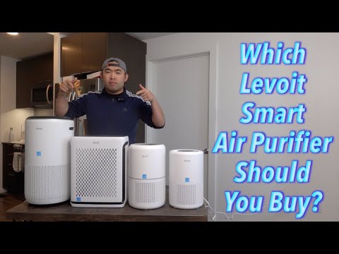 Which Levoit Smart Air Purifier Should You Buy?