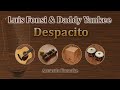 Despacito - Luis Fonsi & Daddy Yankee (Acoustic Karaoke)