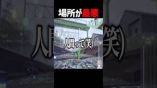 線路に生えたタンポポを育てる配信者 #shorts #ゲーム実況 #そらびび