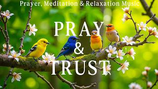 PRAY & TRUST | Instrumental Worship Piano with Scriptures, Bird Sound & Nature Scenes