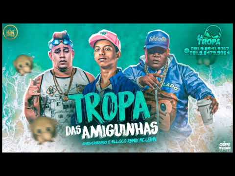 MC LEVIN  SHEVCHENKO E ELLOCO - TROPA DAS AMIGUINHAS