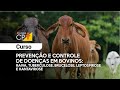 Curso Administração da Pequena Empresa Rural