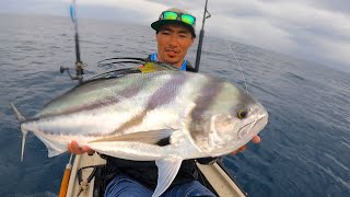 Getting DESTROYED by HUGE ROOSTERFISH and Cubera Snapper, Los Buzos Panama