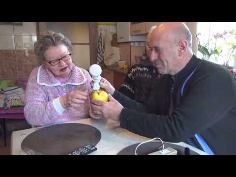 Vlad Constantin,Liviu Minescu Curentul din gutuie si pepene