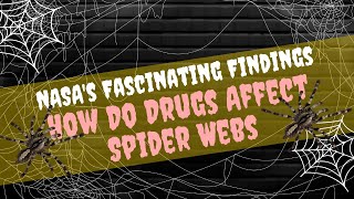 How Do Drugs Affect Spider Webs | NASA's Fascinating Findings