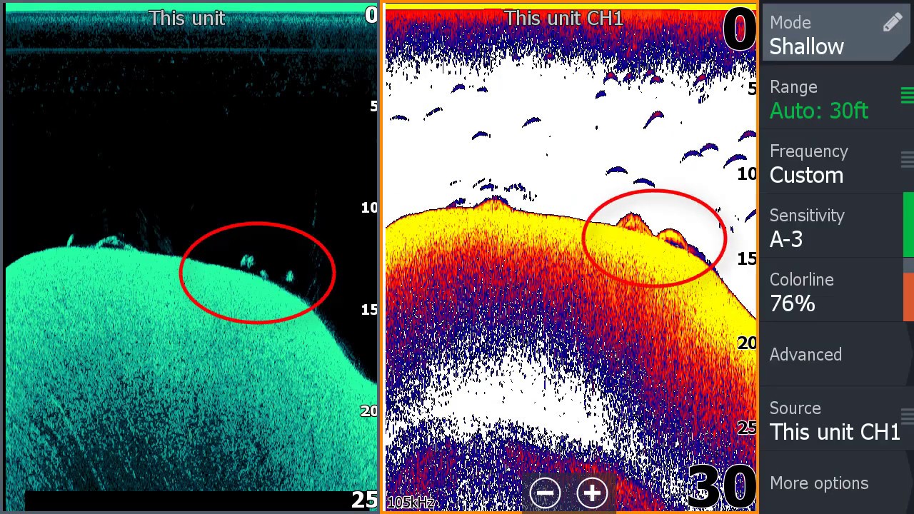 sonar fish and trees
