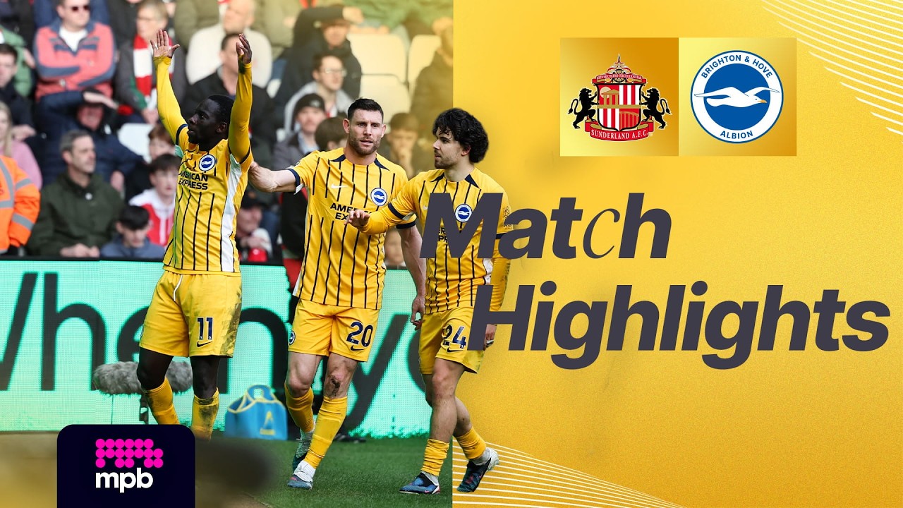 Sunderland vs Brighton & Hove Albion Highlights