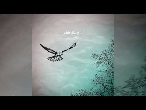 CRZYSND - dear diary... (FULL ALBUM)