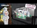 Jaga Kos Angker Di Malam Hari Roblox Indonesia