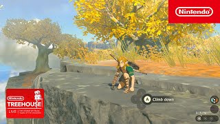Состоялся релиз The Legend of Zelda: Tears of the Kingdom — сиквела Breath of the Wild