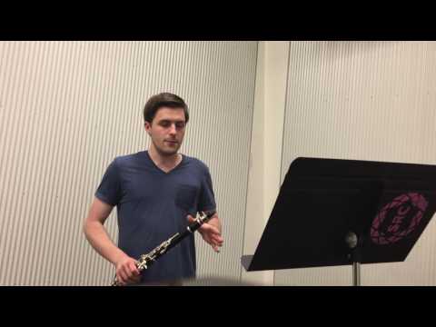 Gabriel Vatavu Hand Crafted Mouthpieces - Clarinet Jazz