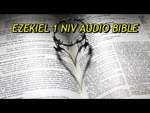 EZEKIEL 1 NIV AUDIO BIBLE(with text)