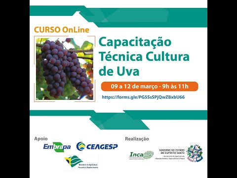 Curso cultura da uva (dia 2)