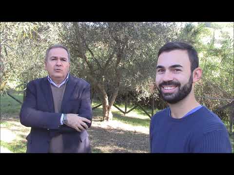 Conversazione col filosofo Roberto Mancini su società, libertà, occidente, felicità, economia