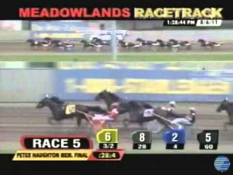 Peter Haughton Memorial 2011 -Weingartner