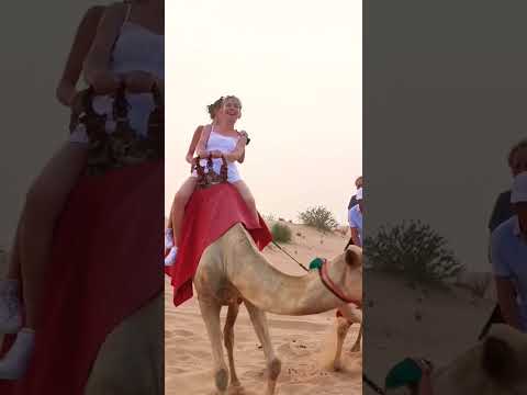 emotions Reactions funny att the camel ride att the desert safari camp Al Aweer #desertsafaridxbme