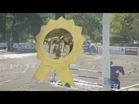 Záznam 9. kola ČSP 2016 – Czech Junior Cup