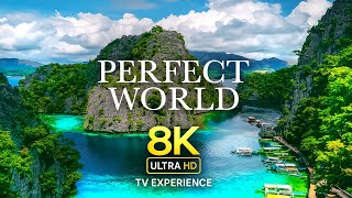 PERFECT WORLD 8K ULTRA HD 60FPS (Dolby Vision for 8K TV and 4K Display Test)