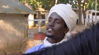 The Riders Of The Sahara – English Full Documentary