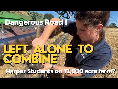 Left with the combine on my own, Charles Cam on 12,000 acres