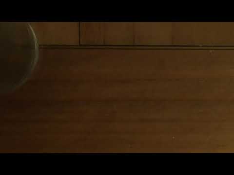 [ASMR] Teaching Random Words in Guarani #2